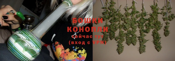 крисы Армянск