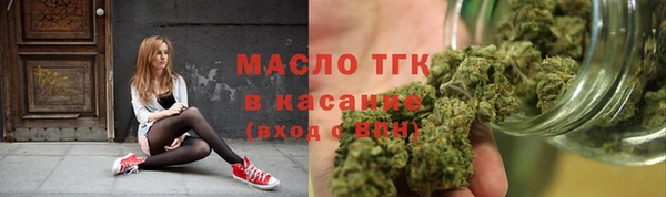 крисы Армянск