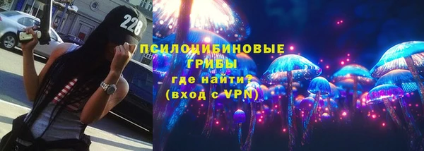 ешки Аркадак