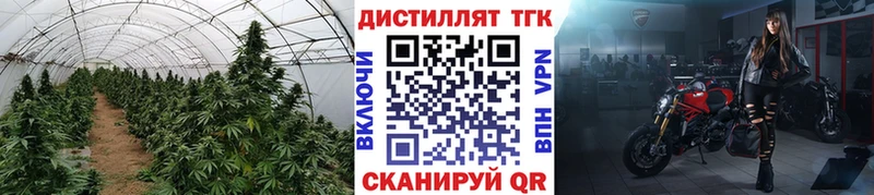 Дистиллят ТГК концентрат Разумное